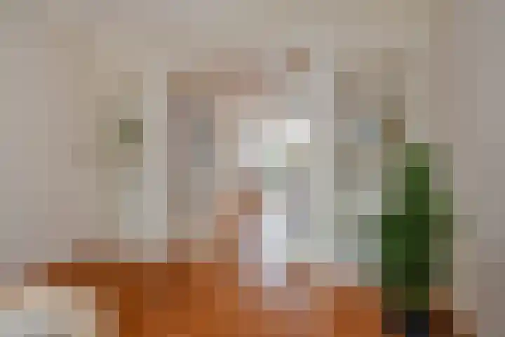 Waldeck Pyrmontkade 926 A Den Haag thumbnail 15