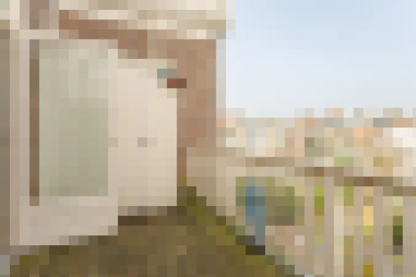 Waldeck Pyrmontkade 926 A Den Haag thumbnail 20
