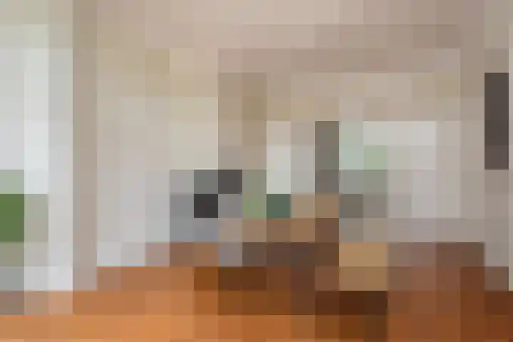 Waldeck Pyrmontkade 926 A Den Haag thumbnail 22