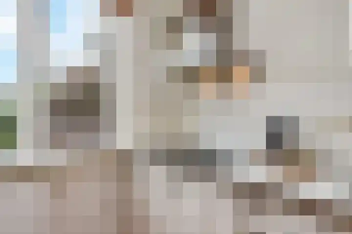 Waldeck Pyrmontkade 926 A Den Haag thumbnail 28