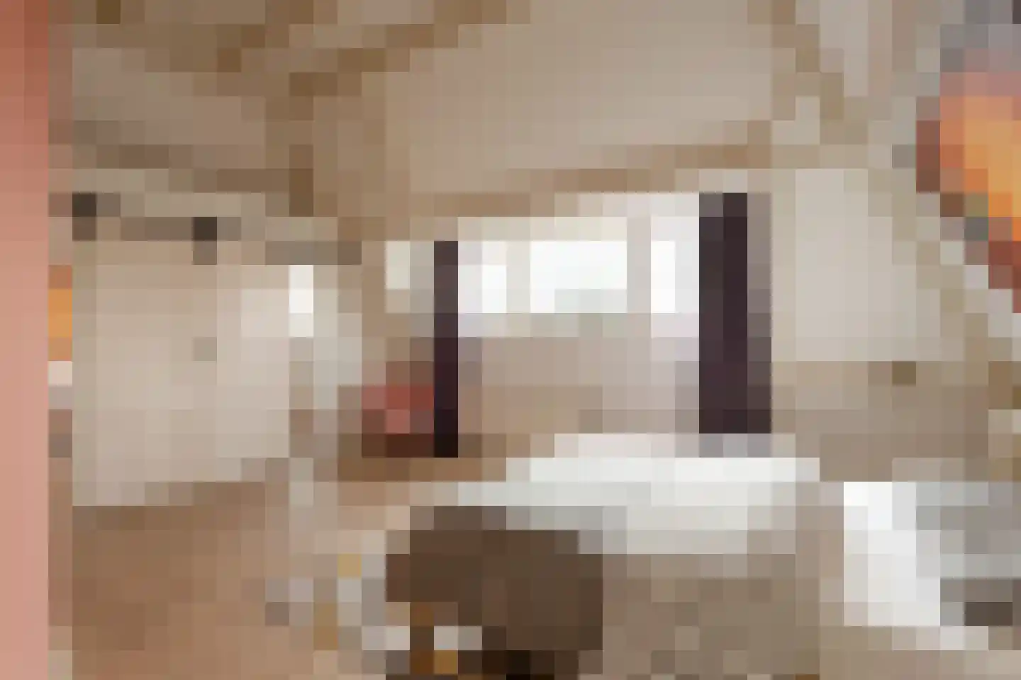 Waldeck Pyrmontkade 926 A Den Haag thumbnail 34