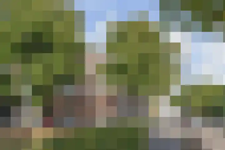 Waldeck Pyrmontkade 926 A Den Haag thumbnail 37