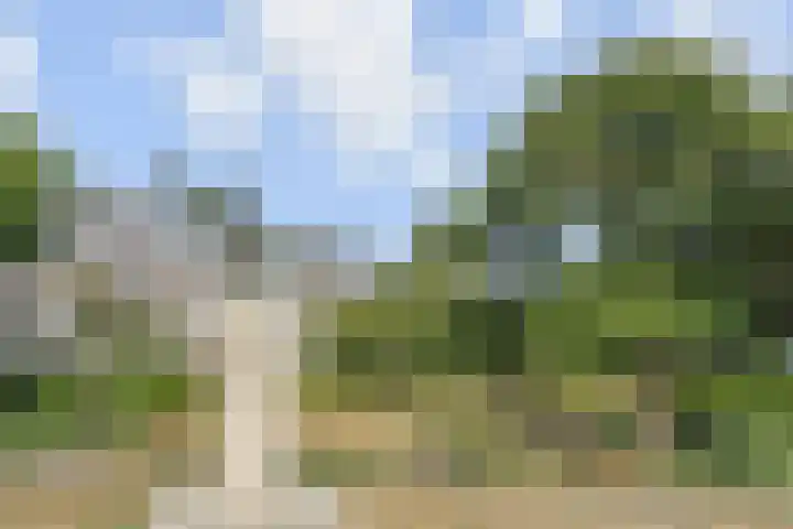 Waldeck Pyrmontkade 926 A Den Haag thumbnail 39