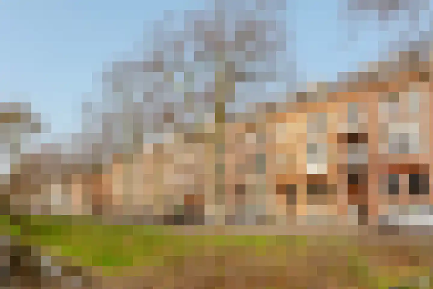 Waldeck Pyrmontkade 926 A Den Haag thumbnail 5