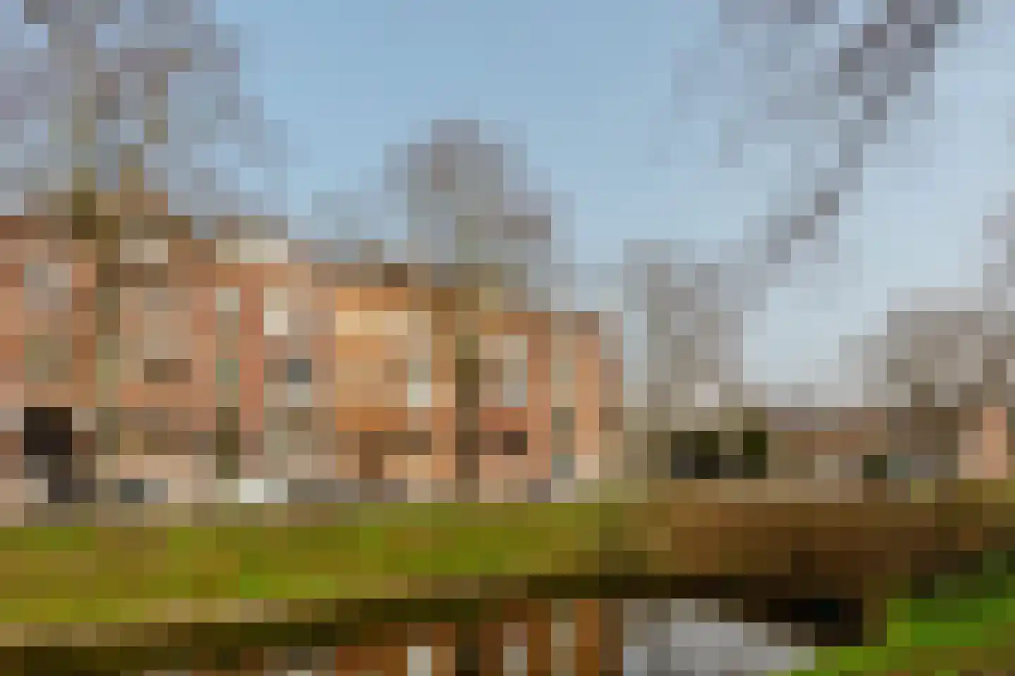 Waldeck Pyrmontkade 926 A Den Haag thumbnail 6