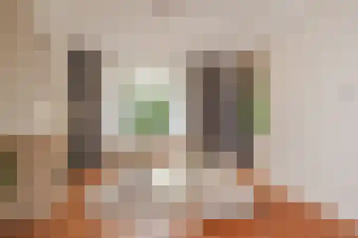 Waldeck Pyrmontkade 926 A Den Haag thumbnail 6