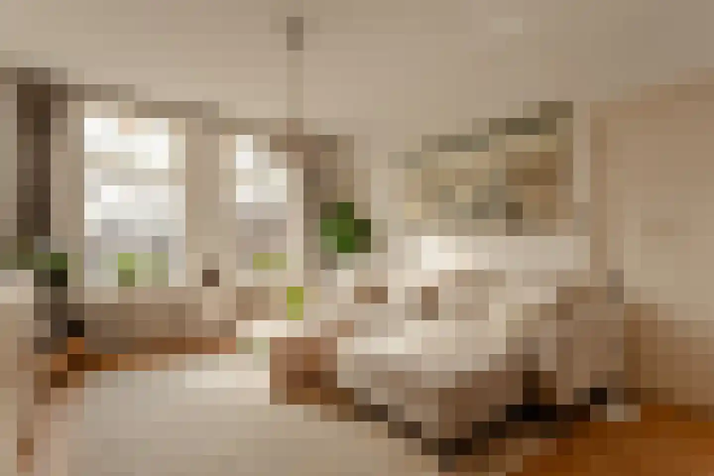 Waldeck Pyrmontkade 926 A Den Haag thumbnail 8