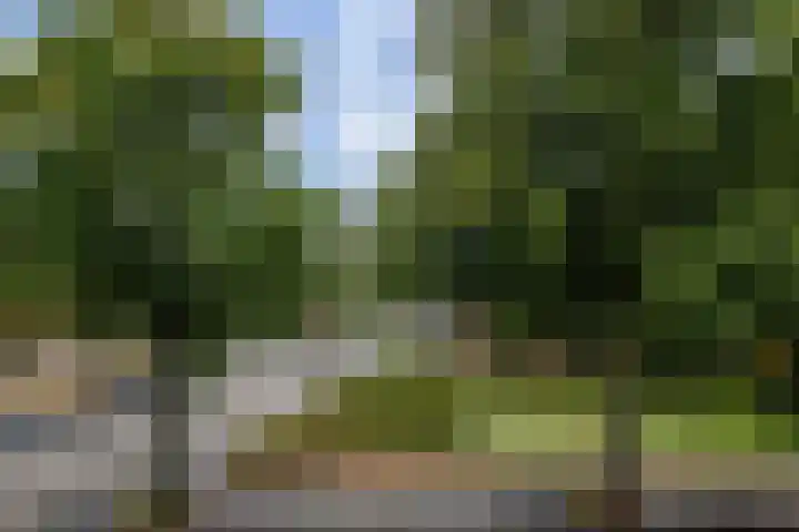 Waldeck Pyrmontkade 926 A Den Haag thumbnail 9