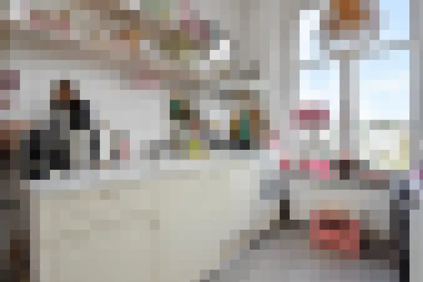 Waldeck Pyrmontkade 928 Den Haag thumbnail 82
