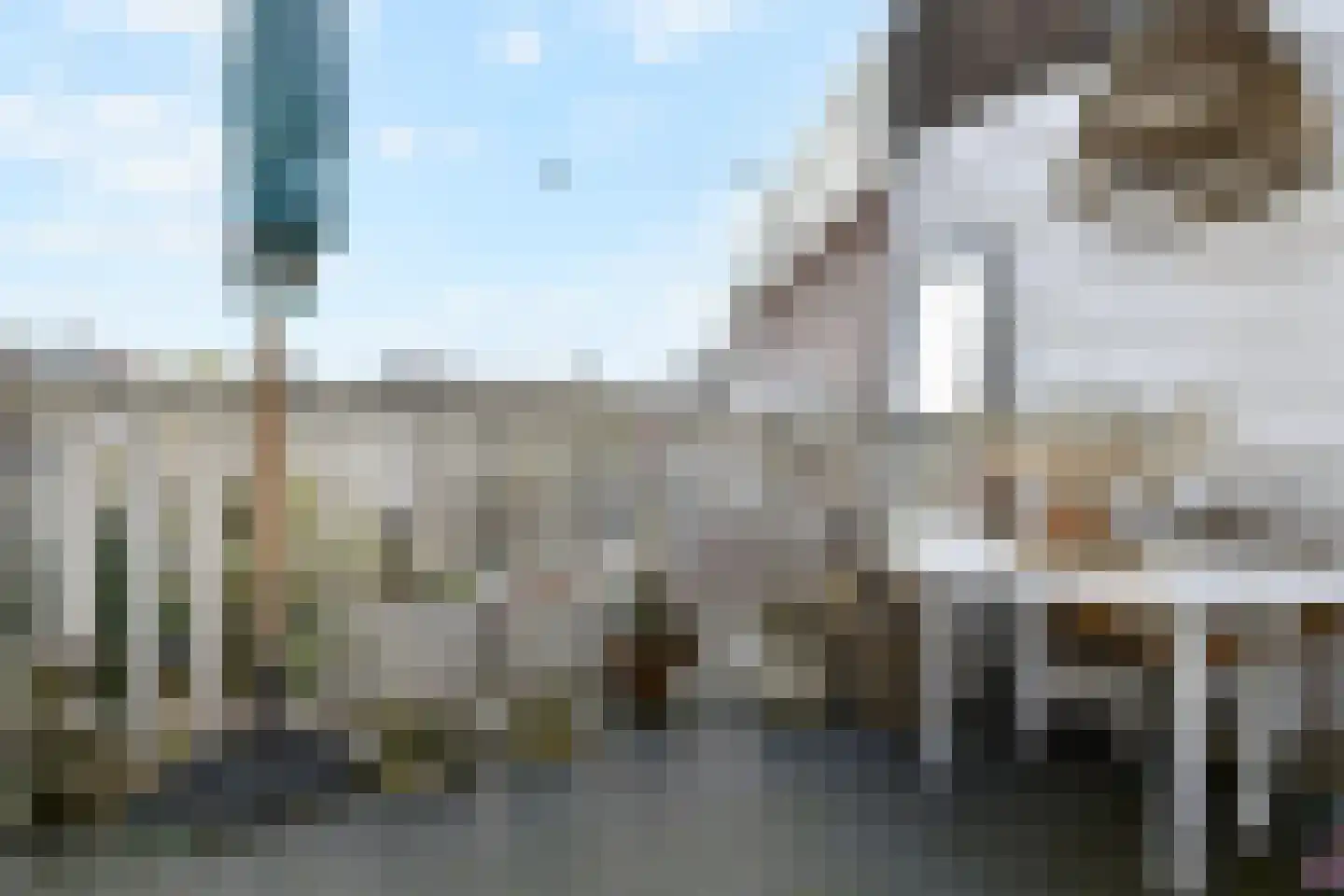 Waldeck Pyrmontkade 929 Den Haag thumbnail 46