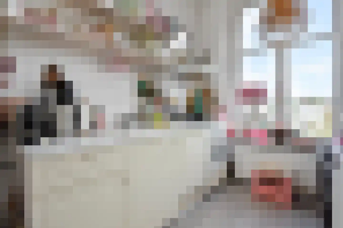 Waldeck Pyrmontkade 929 Den Haag thumbnail 49