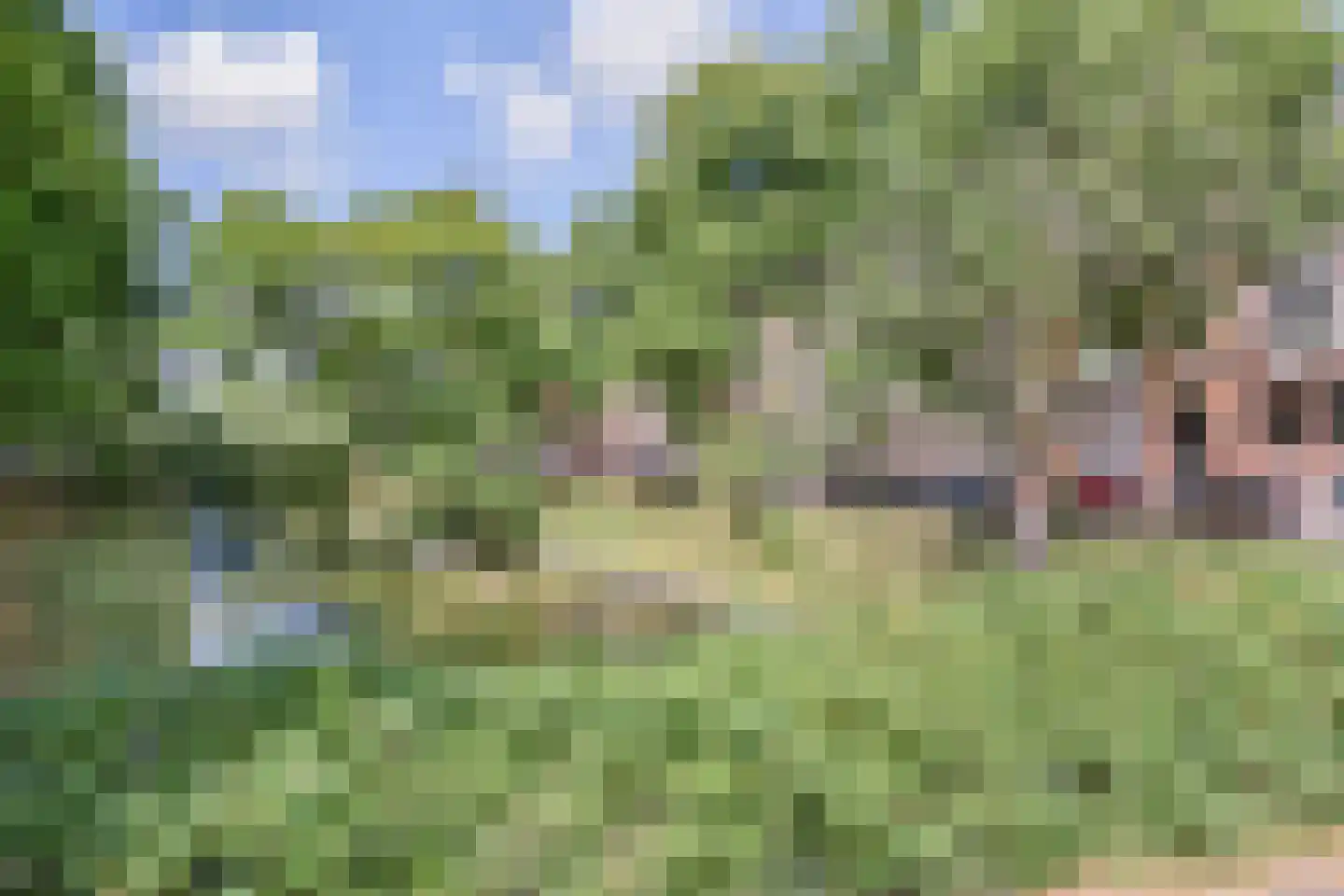 Waldeck Pyrmontkade 929 Den Haag thumbnail 79