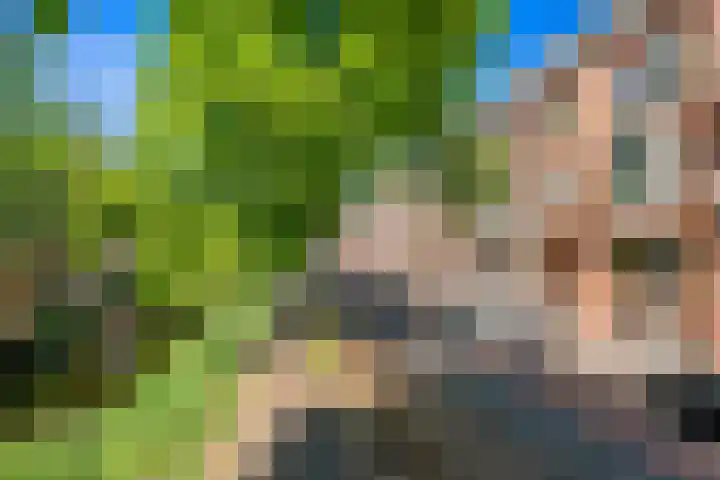 Waldeck Pyrmontkade 932 in Den Haag