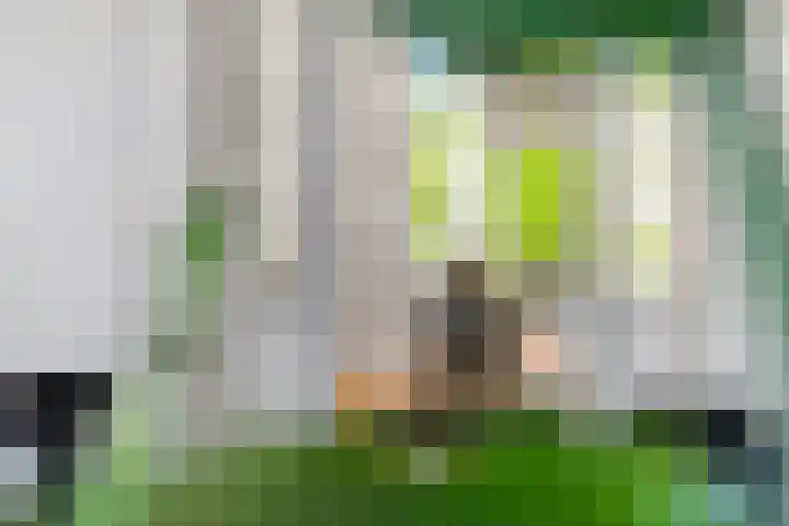Waldeck Pyrmontkade 932 Den Haag thumbnail 14