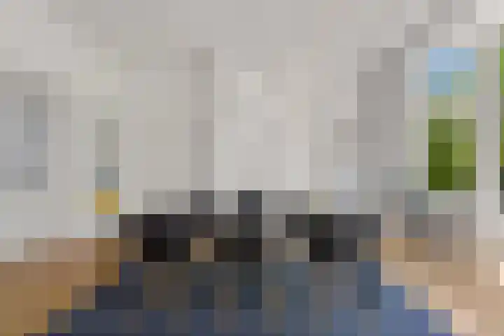 Waldeck Pyrmontkade 932 Den Haag thumbnail 6