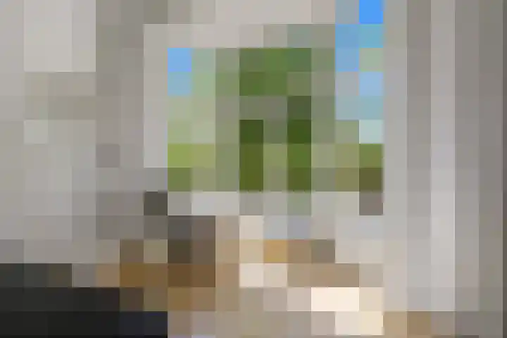 Waldeck Pyrmontkade 932 Den Haag thumbnail 7
