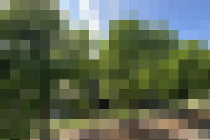 Waldeck Pyrmontkade 932 Den Haag thumbnail 8