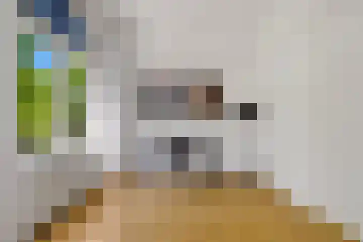 Waldeck Pyrmontkade 932 Den Haag thumbnail 9