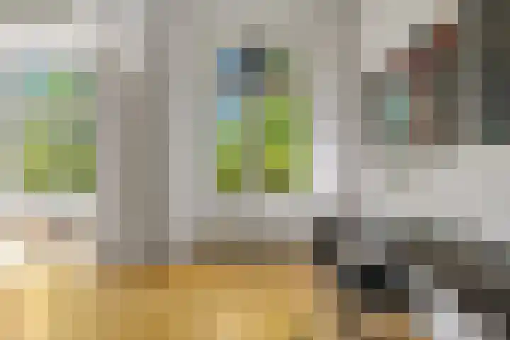 Waldeck Pyrmontkade 932 Den Haag thumbnail 10