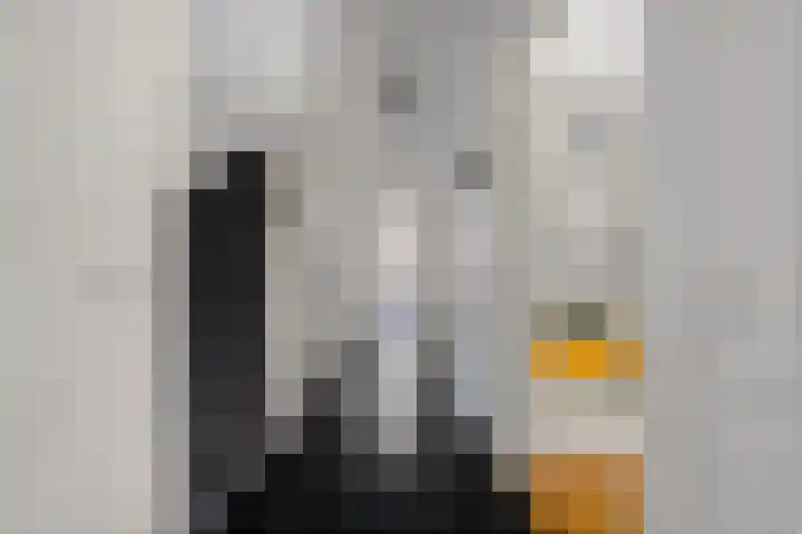 Waldeck Pyrmontkade 932 Den Haag thumbnail 13