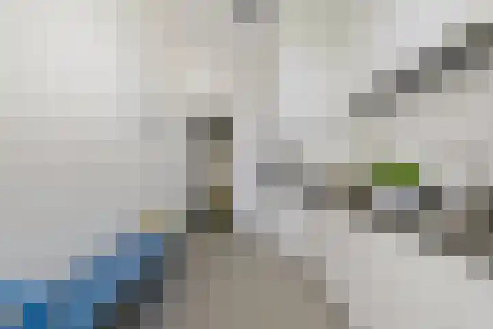 Waldeck Pyrmontkade 932 Den Haag thumbnail 16