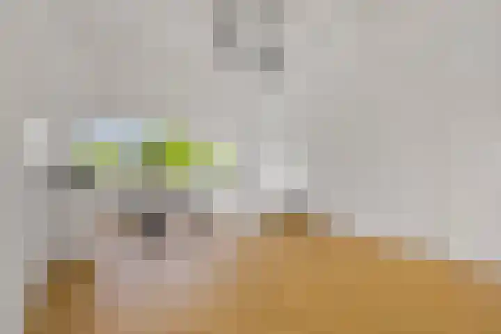 Waldeck Pyrmontkade 932 Den Haag thumbnail 36