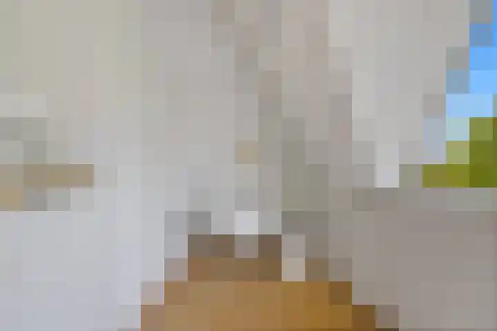 Waldeck Pyrmontkade 932 Den Haag thumbnail 39
