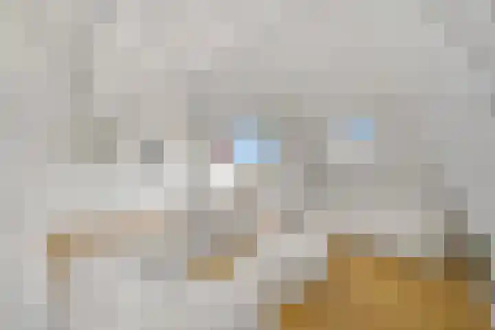 Waldeck Pyrmontkade 932 Den Haag thumbnail 43