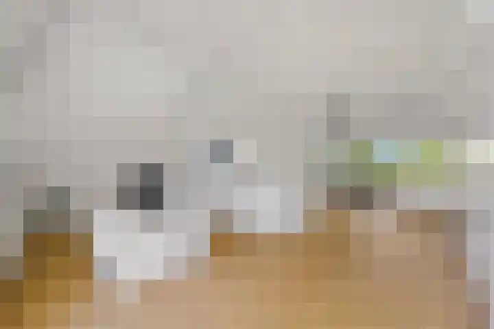Waldeck Pyrmontkade 932 Den Haag thumbnail 44