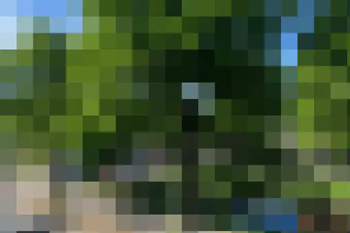 Waldeck Pyrmontkade 932 Den Haag thumbnail 52