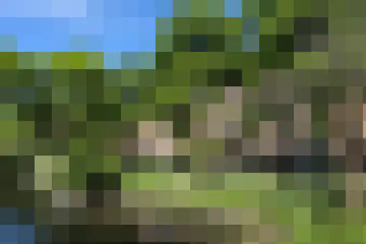 Waldeck Pyrmontkade 932 Den Haag thumbnail 54