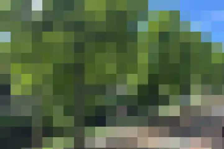 Waldeck Pyrmontkade 932 Den Haag thumbnail 55