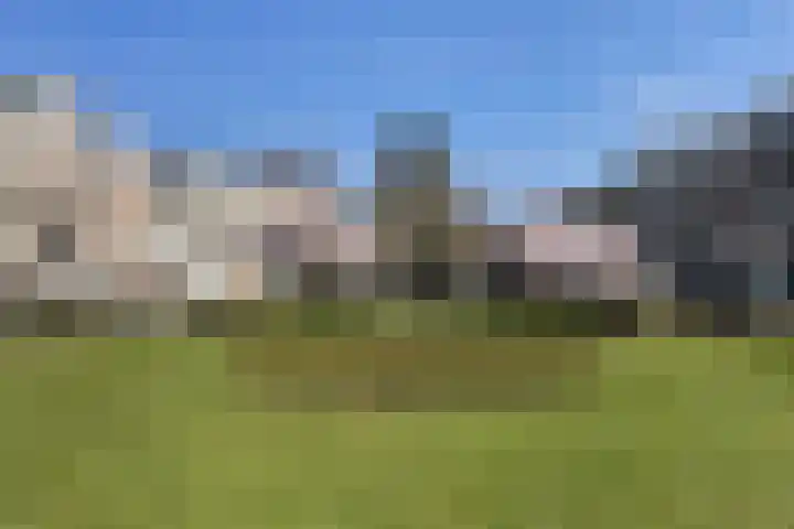 Waldeck Pyrmontkade 932 Den Haag thumbnail 61