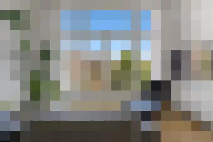 Waldeck Pyrmontkade 932 Den Haag thumbnail 8