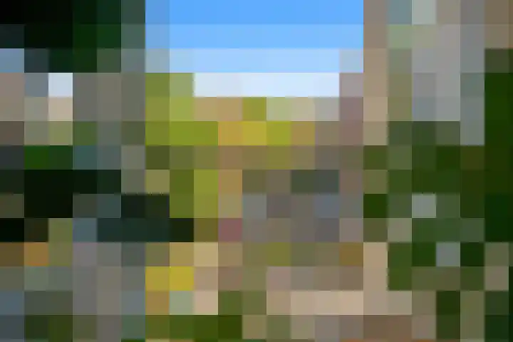 Waldeck Pyrmontkade 932 Den Haag thumbnail 9