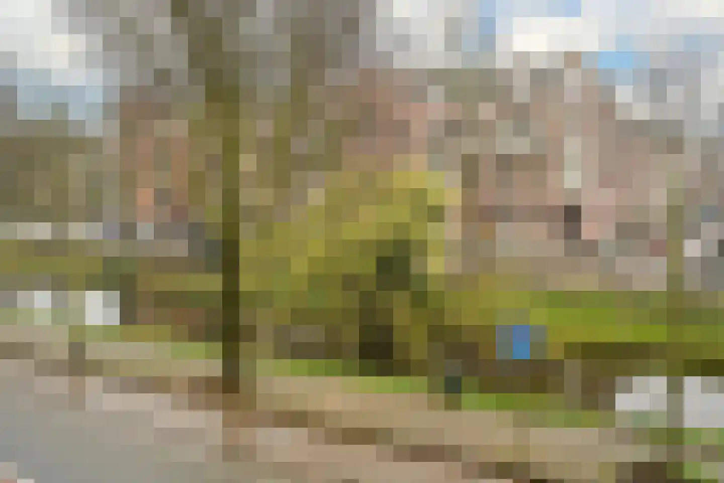 Waldeck Pyrmontkade 947 Den Haag thumbnail 12