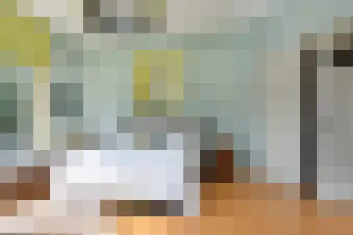 Waldeck Pyrmontkade 947 Den Haag thumbnail 37