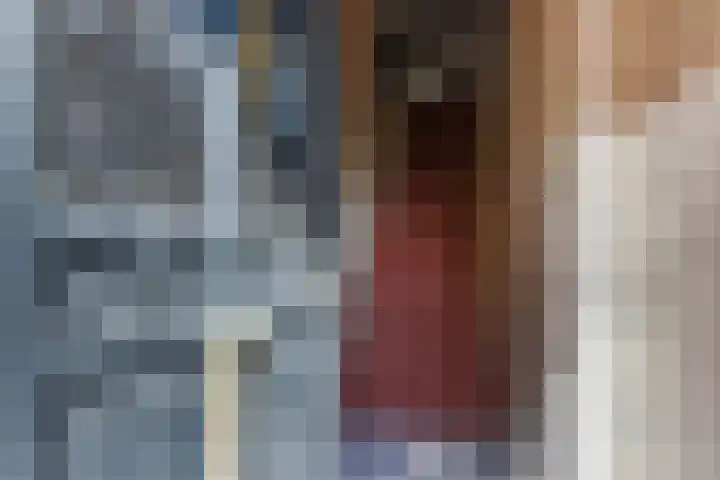 Waldeck Pyrmontkade 947 Den Haag thumbnail 4