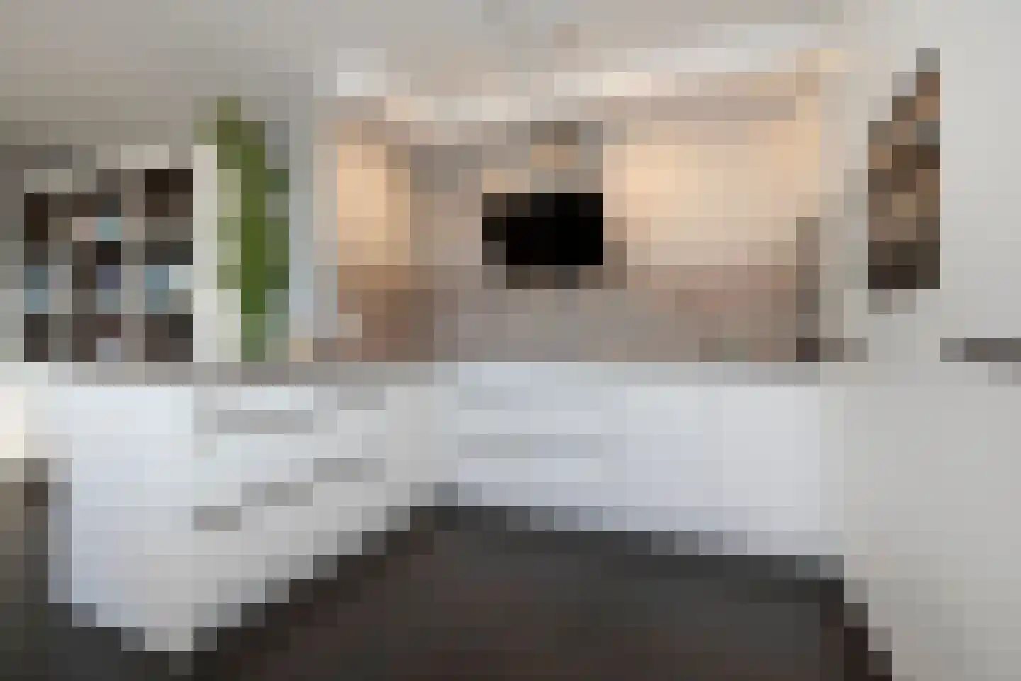 Waldeck Pyrmontkade 947 Den Haag thumbnail 44