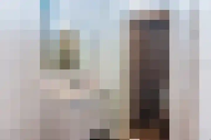 Waldeck Pyrmontkade 947 Den Haag thumbnail 46