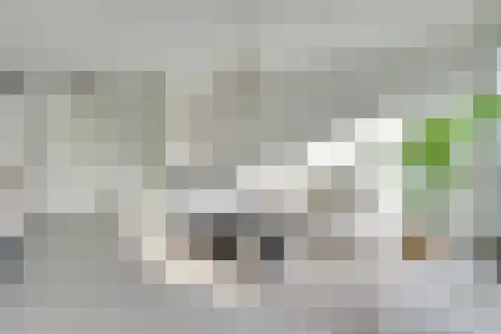 Waldeck Pyrmontkade 947 Den Haag thumbnail 47