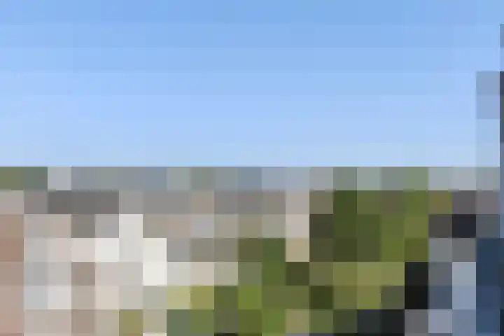 Waldeck Pyrmontkade 947 Den Haag thumbnail 53