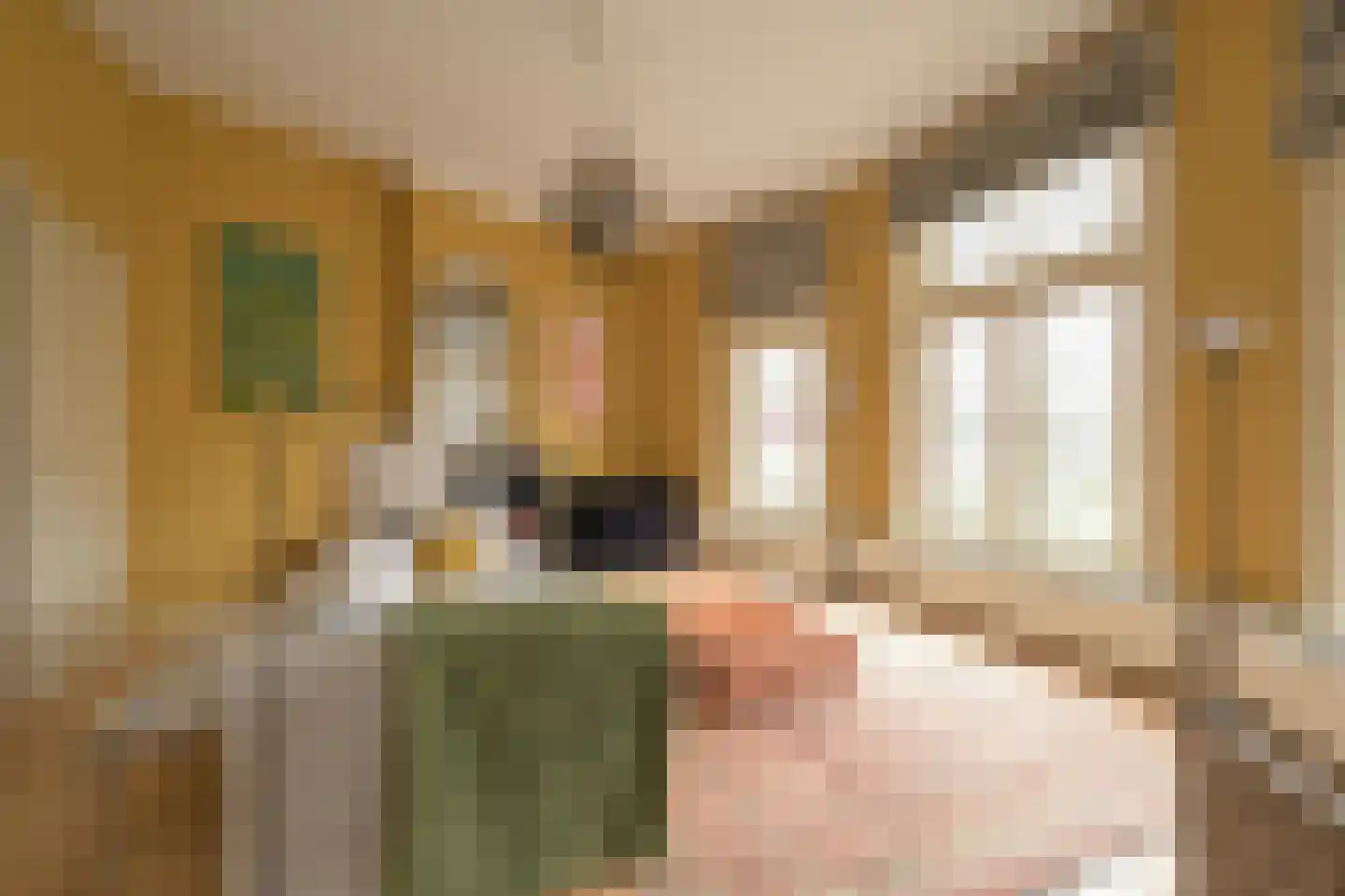 Waldeck Pyrmontkade 947 Den Haag thumbnail 9