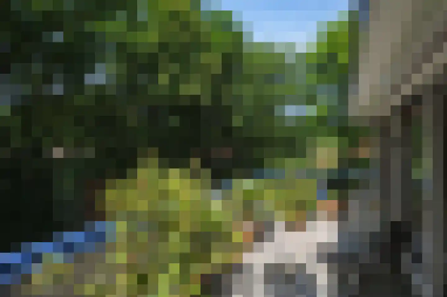 Waldeck Pyrmontlaan 1 0009 Baarn thumbnail 22