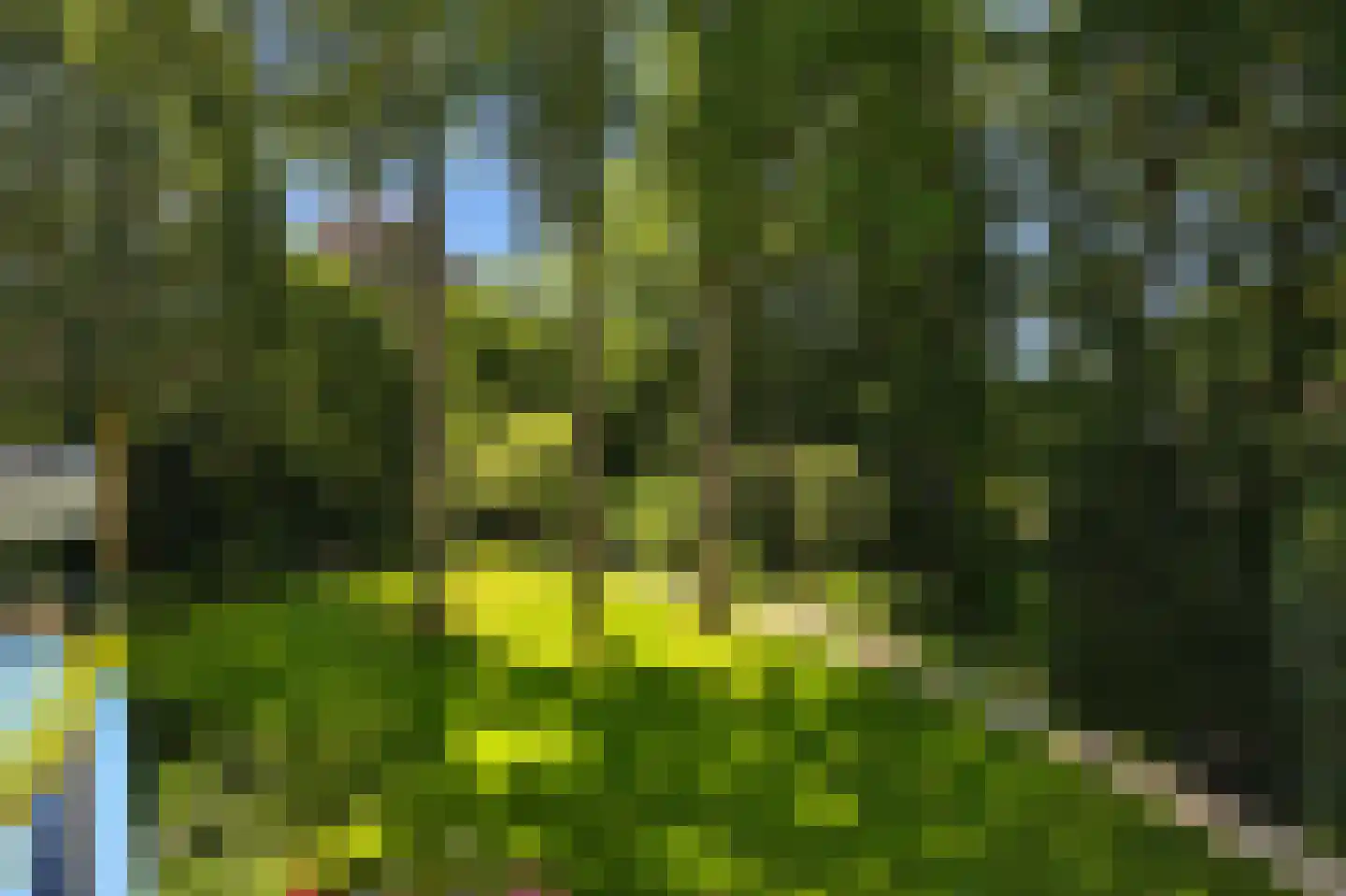 Waldeck Pyrmontlaan 1 0009 Baarn thumbnail 24
