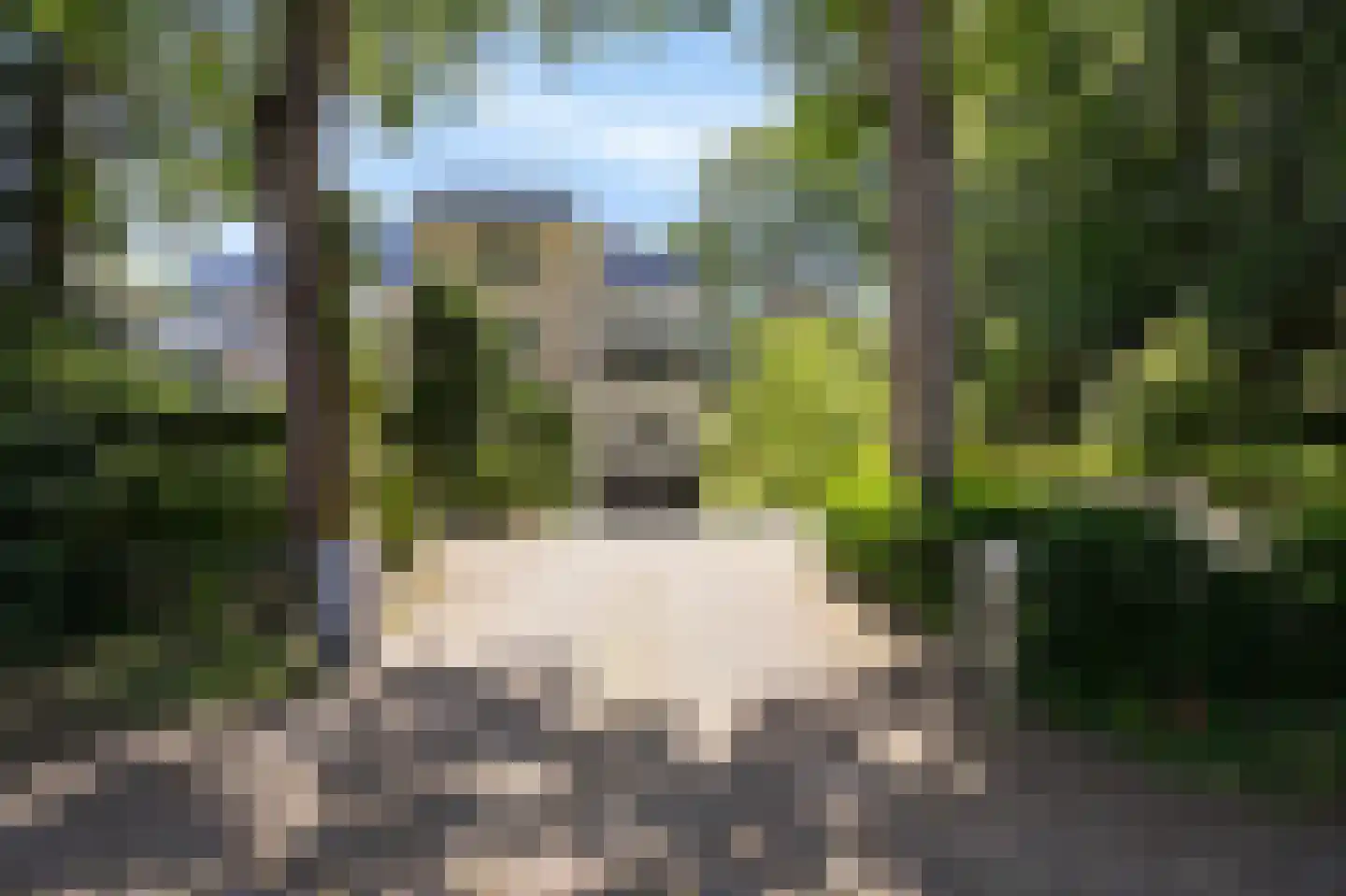 Waldeck Pyrmontlaan 1 0009 Baarn thumbnail 26