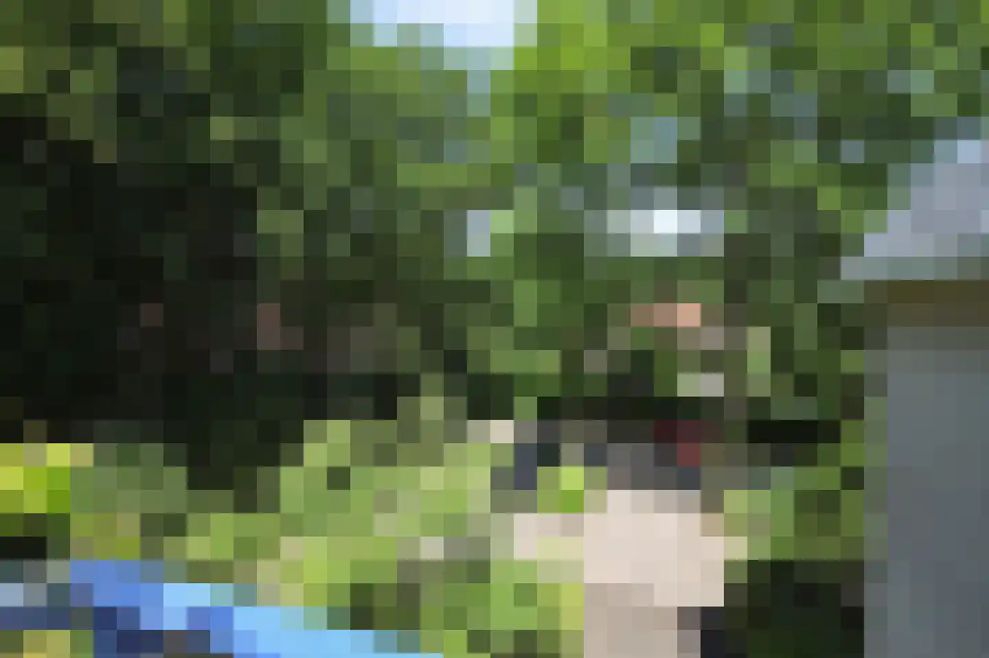 Waldeck Pyrmontlaan 1 0009 Baarn thumbnail 30