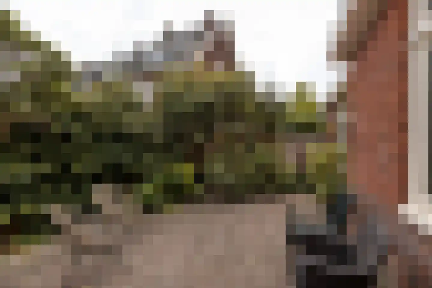 Waldeck Pyrmontlaan 1 Overveen thumbnail 28
