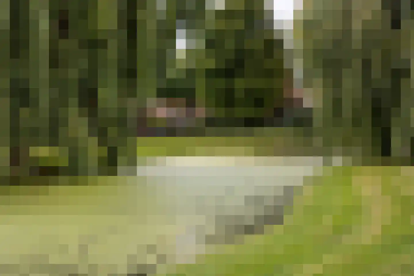 Waldeck Pyrmontlaan 1 Overveen thumbnail 30