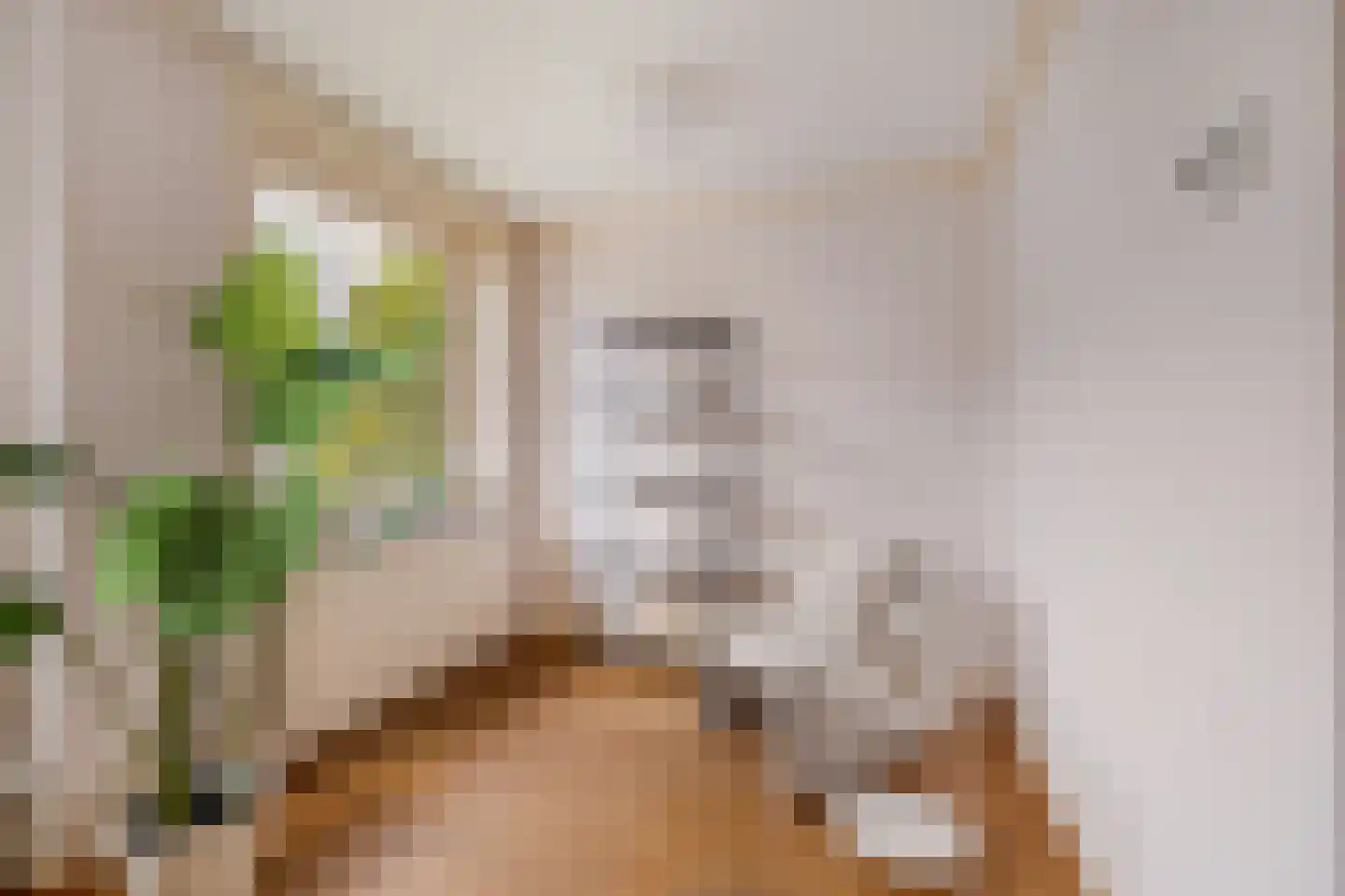 Waldeck Pyrmontlaan 1 Overveen thumbnail 5